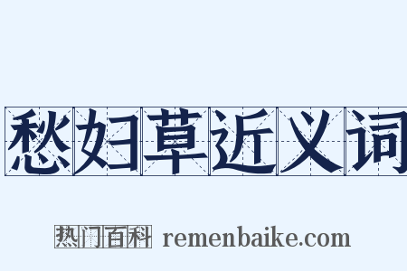 愁妇草近义词是什么意思的图片